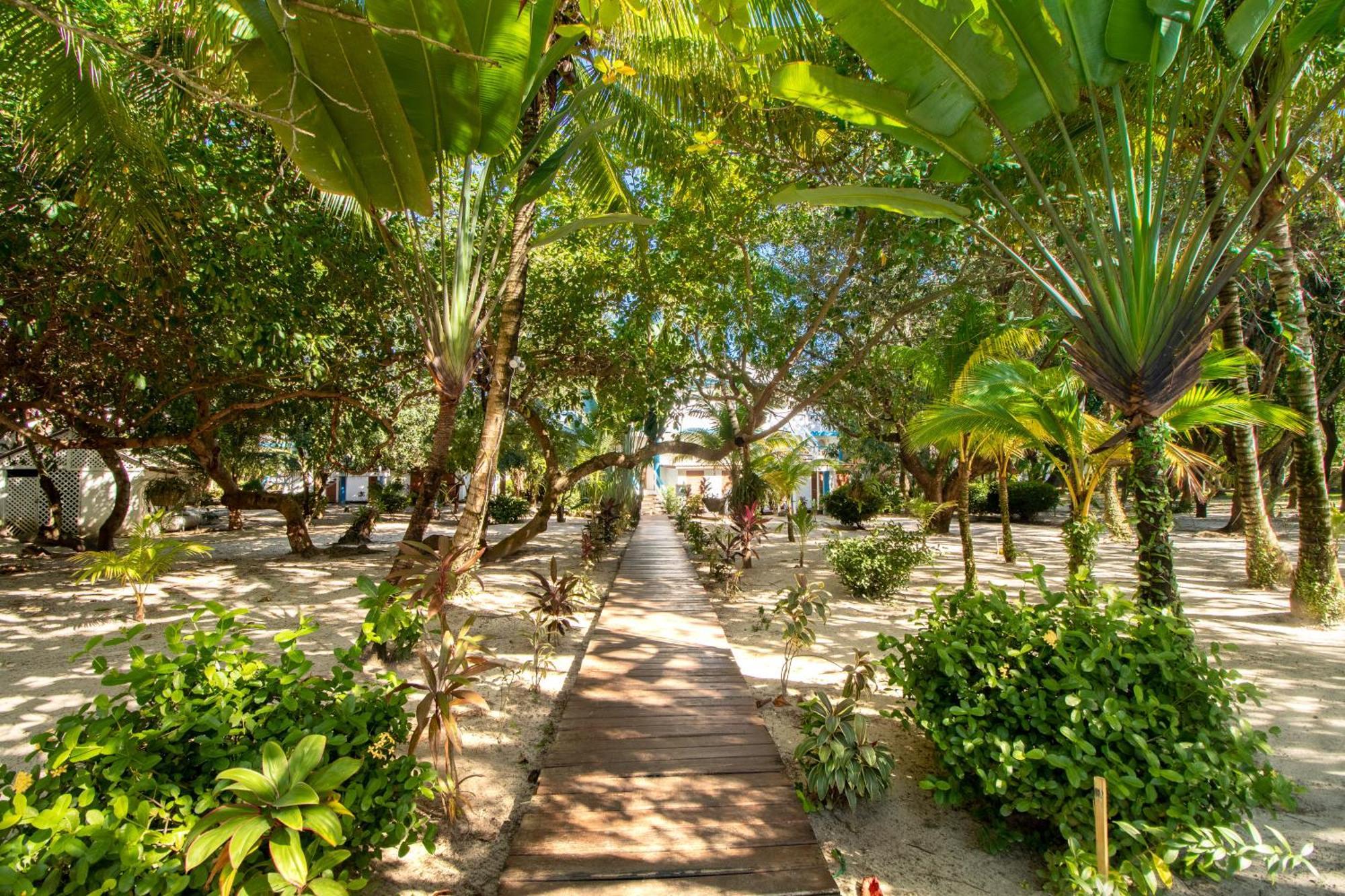 Beachside Villas Gold Standard Certified Placencia Phòng bức ảnh