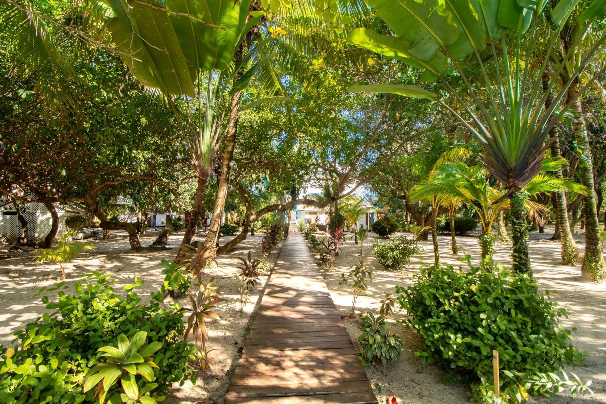 Beachside Villas Gold Standard Certified Placencia Phòng bức ảnh